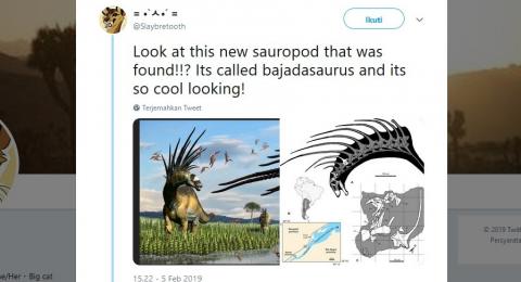 9800 Koleksi Gambar Tengkorak Hewan Herbivora Terbaik