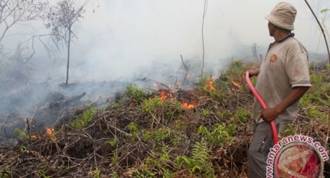 5 Hektare Lahan Taman Nasional Baluran Situbondo Hangus Terbakar