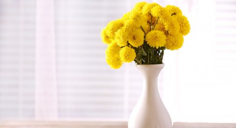 100 Gambar Vas Bunga Terlihat Keren