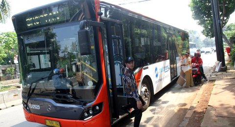 Transjakarta Siapkan Rute Gratis Ke Ragunan Saat Libur Natal Dan Tahun Baru