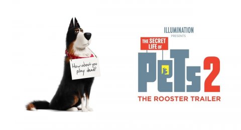 The Secret Life Of Pets 2 Cinta Tanpa Syarat Seekor Anjing Ke Majikan