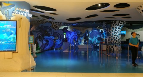 Keren Jakarta Aquarium Boyong Kutu Laut Dan Gurita Raksasa Ke