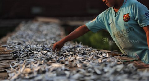 Paling Keren 30 Gambar Kartun Orang Menjemur Ikan - Gambar ...