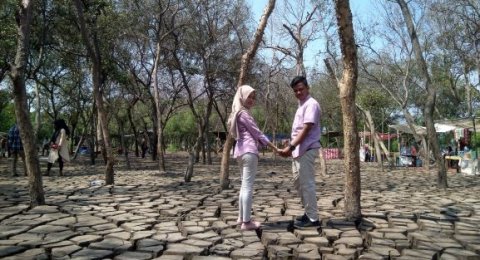 Kemarau Fenomena Tanah Retak Jadi Lokasi Swafoto Dan