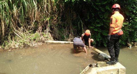 Warga Bogor Barat Dihebohkan Penampakan Buaya