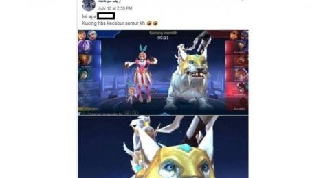 5500 Koleksi Gambar Binatang Seperti Kucing HD