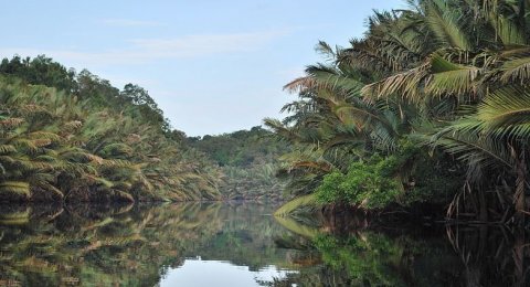 Sekilas Menyerupai Amazon Pesona Cantiknya Taman Nasional