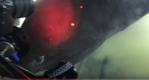 Peneliti Ini Temukan Monster Di Laut Dalam Yang Disebut Mirip T Rex