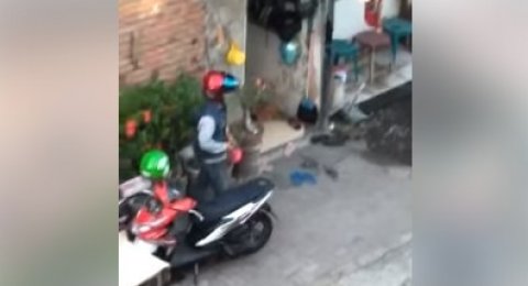  Sepeda  Motor  Yang Cocok Untuk  Wanita Pintar Mencocokan