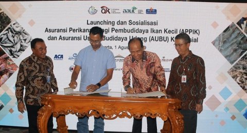 Gandeng Kkp Jasindo Luncurkan Asuransi Untuk Peternak Lele Dan Udang