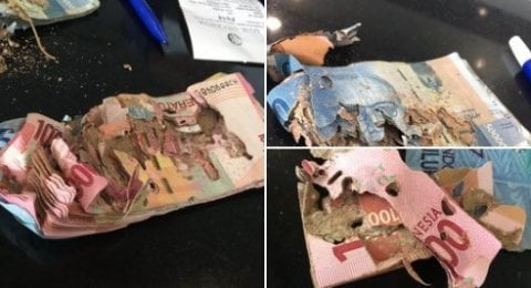 500+ Gambar Duit 20 Juta Paling Baru 500+ Gambar Duit 20 Juta Paling Baru