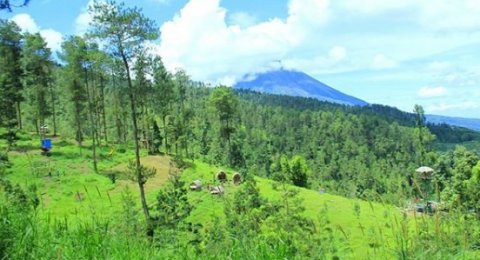 Bukit Grenden Wisata Alam Nan Sejuk Di Kaki Gunung Merbabu