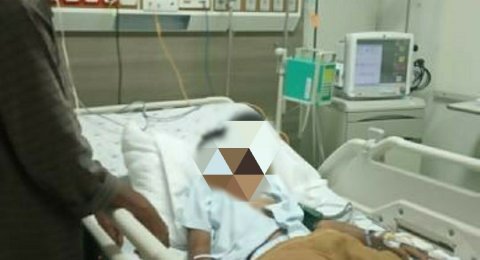 Burung Rojiin Warga Malang Dimakan Ular Kobra Tangannya Pun