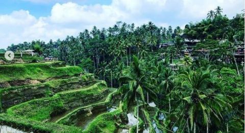 Masuk Keajaiban Alam Di Dunia Pesona Tempat Wisata Di Bali