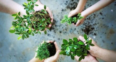 Keluarga Konservasikan Sumber Daya Alam Keluarga Konservasikan Sumber Daya Alam