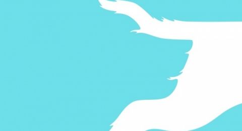 Tes Kepribadian Moncong Atau Kaki Ekor Anjing Apa Yang Pertama