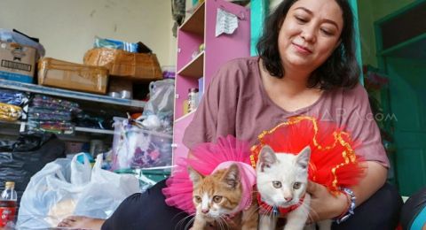 Jelang Imlek Emak Emak Ini Produksi Pakaian Hewan Peliharaan Unik