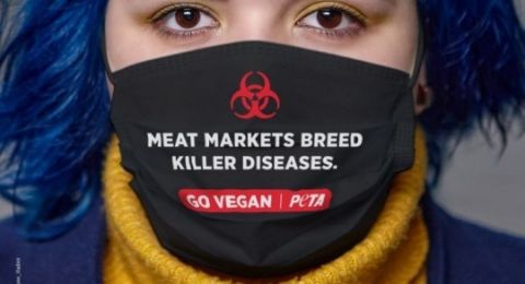 Hindari Virus Corona Organisasi Hak Asasi Hewan Ajak Masyarakat