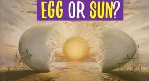Tes Kepribadian Apa Yang Kamu Lihat Pertama Kali Matahari Atau Telur