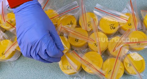 Dokter Paru Tegaskan Ct Value Bukan Tolok Ukur Kesembuhan Pasien Covid 19