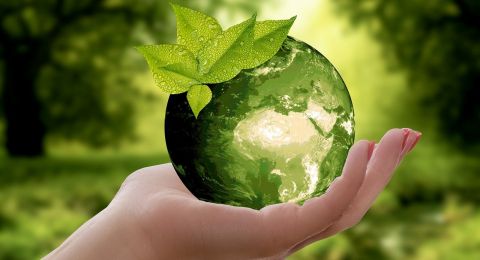 Hari Lingkungan Hidup Sedunia 4 Fakta Yang Harus Kamu Ketahui