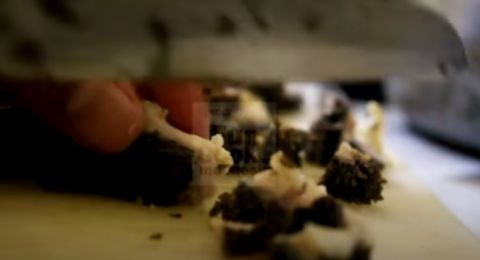 Jangan Dibuang Ini Tips Agar Jeroan Babat Tidak Bau Dan Empuk Saat Dimasak Jangan Dibuang Ini Tips Agar Jeroan Babat Tidak Bau Dan Empuk Saat Dimasak