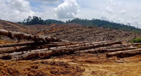 Melawan Opini Sesat "Katanya Tidak Ada Tanah Adat di Kinipan"