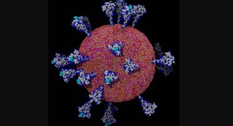 Kasus Baru Covid 19 Di Thailand Dan Indonesia Bagaikan Langit Dan Bumi