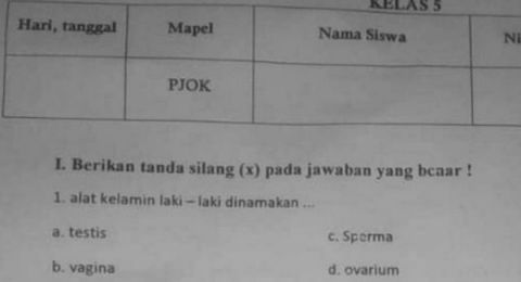 Viral Soal Ujian Pjok Kelas 5 Sd Di Kota Bogor Berbau Vulgar Suara Jakarta