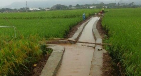 Mentan Rehabilitasi Jaringan Irigasi Mampu Dukung Upaya Pertanian