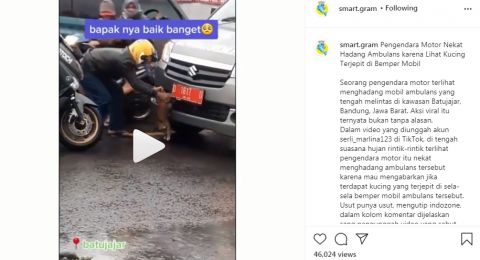 Viral kucing terjepit bemper mobil di Bandung [Tangkapan layar Instagram @smart.gram]