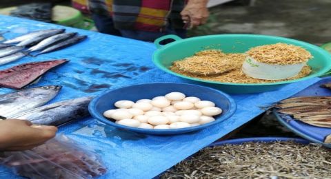 Jepretan laporan telur penyu dijual bebas di Majene [Foto: Antara]