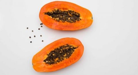 8 Manfaat Budidaya Pepaya yang Bisa Dongkrak Pendapatan Petani