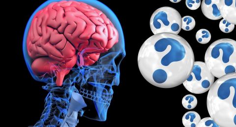 Penemuan Bagian Otak yang Berperan dalam Meramal Kemungkinan Buruk