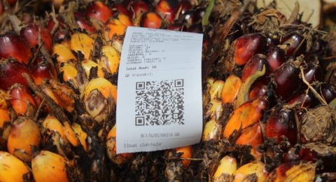 Mempercepat Transformasi Digital Perkebunan Kelapa Sawit di Masa Pandemi