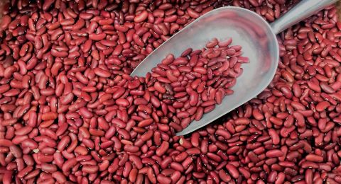 5 Manfaat Kacang Merah bagi Kesehatan