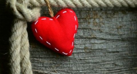 Terikat Jiwa dengan Permai Nirwana