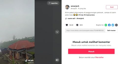 Viral di TikTok [Foto: Tangkapan layar di TikTok]