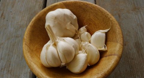 4 Tanaman Herbal yang Ampuh Atasi Kolesterol, Salah Satunya Bawang Putih