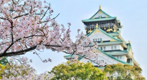 Sistem Jaminan Kesehatan di Jepang, Bagaimana Ya? Simak Ulasannya !