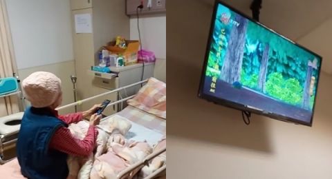 Cara Nonton TV Streaming Lewat HP, Ada SCTV, RCTI, Indosiar dan Channel Lainnya