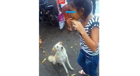 Gemas! Anak Perempuan Ini Berbagi Makanan dengan Anjing yang Mendekatinya