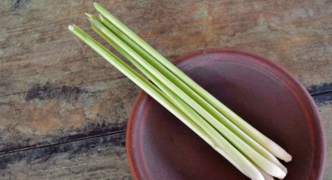 Bukan Hanya Jadi Bumbu, Ini 5 Manfaat Serai bagi Kesehatan Tubuh