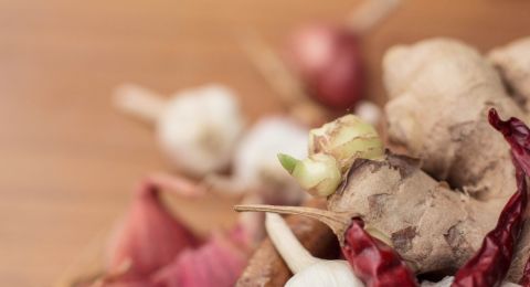 4 Manfaat Tanaman Kencur bagi Kesehatan, Ternyata Bisa Kurangi Stres Lho!