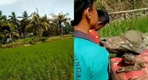 Bocil Nangis Gara-gara Naik Sepeda Motor hingga Masuk Sawah, Wajahnya Bikin Salfok