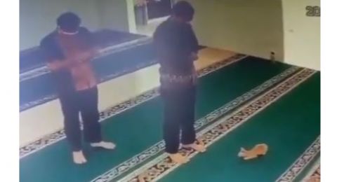 Viral Aksi Kucing Ganggu Pria Salat di Masjid Bikin Buyar: Warganet: Melebihi Setan