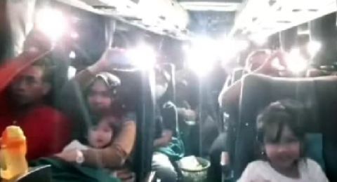 Pemudik Satu Bus Kompak Bikin Video Pakai Sound Viral, Warganet: Jadi Pengin Ikutan
