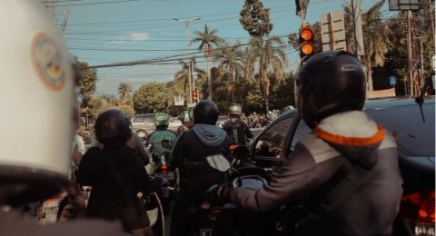Unik! Pemudik Ini Pulang ke Kampung Bawa Tas Berisi Hewan Peliharaannya