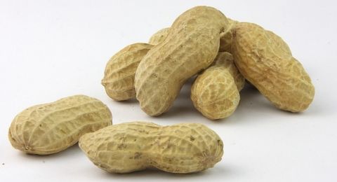 Benarkah Makan Kacang dapat Mempengaruhi Pernapasan? Segera Cek!