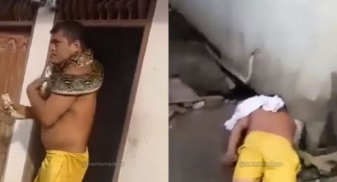 Ngeri! Pria Ini Nyaris Tak Bisa Napas Gegara Kalungkan Ular yang Ditangkap